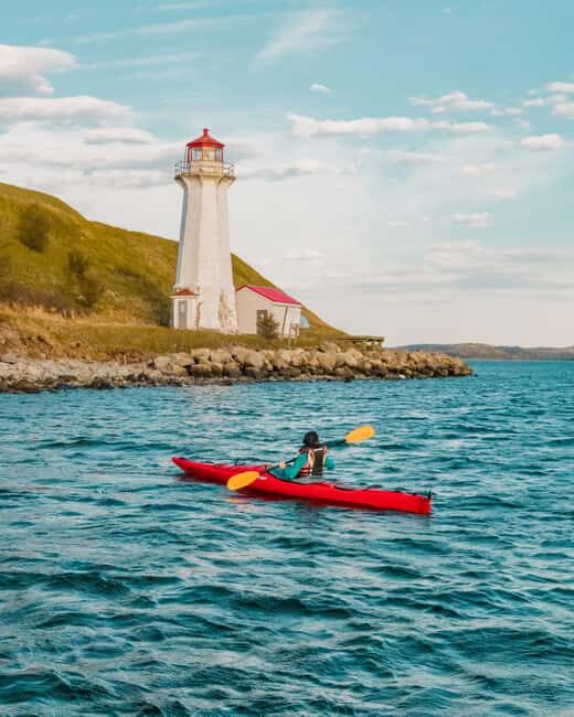 Halifax: Guided Kayak Tour with Multiple Options - FAQ