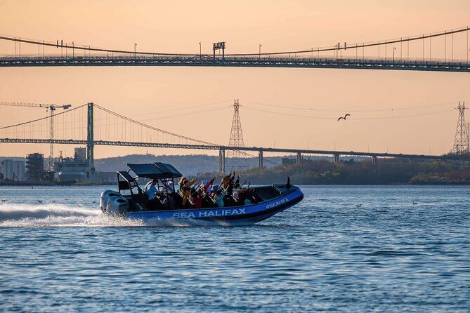 Halifax Harbour Historical & Wildlife High-Speed Tour - Is this tour worth it?
