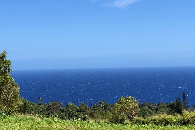 Hamakua Coast Farm Small-Group Walking and Tasting Tour - Practical Details