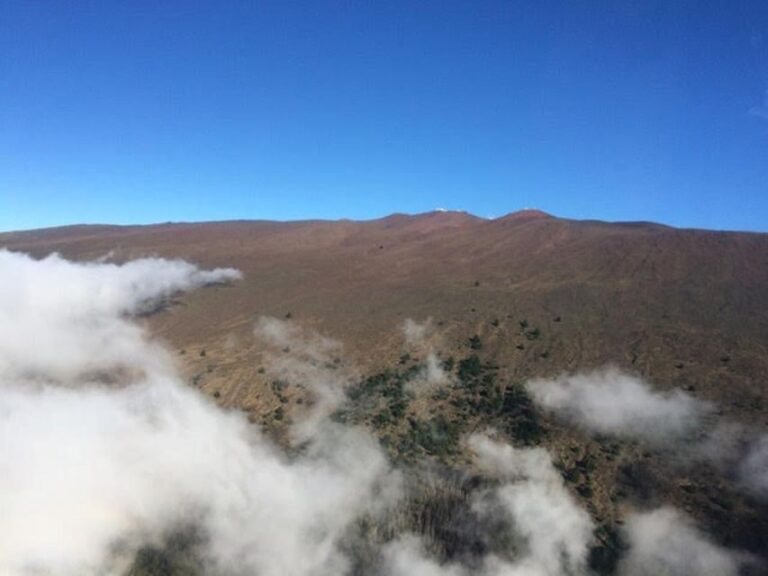 Hana Rainforest and Haleakala Crater 45-min Helicopter Tour - What Makes This Tour Stand Out?