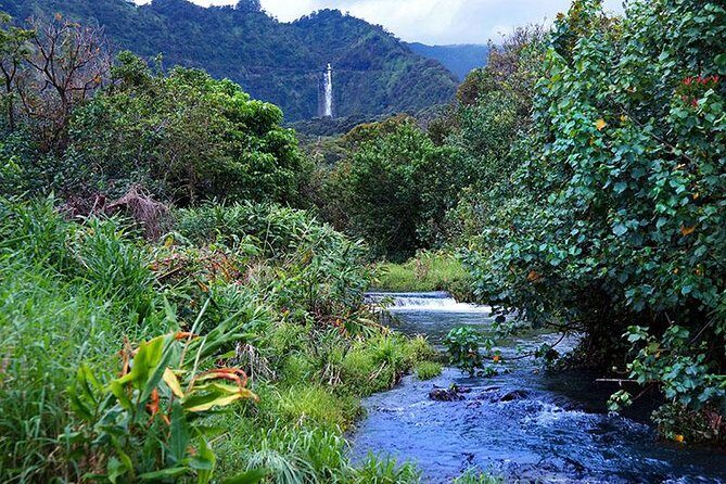 Hana Rainforest Helicopter Flight with Landing from Maui - What to Expect in Detail