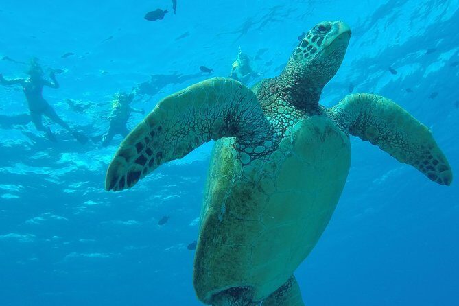 Hanauma Bay Guided Snorkel Tour (with guaranteed entrance time) - FAQs