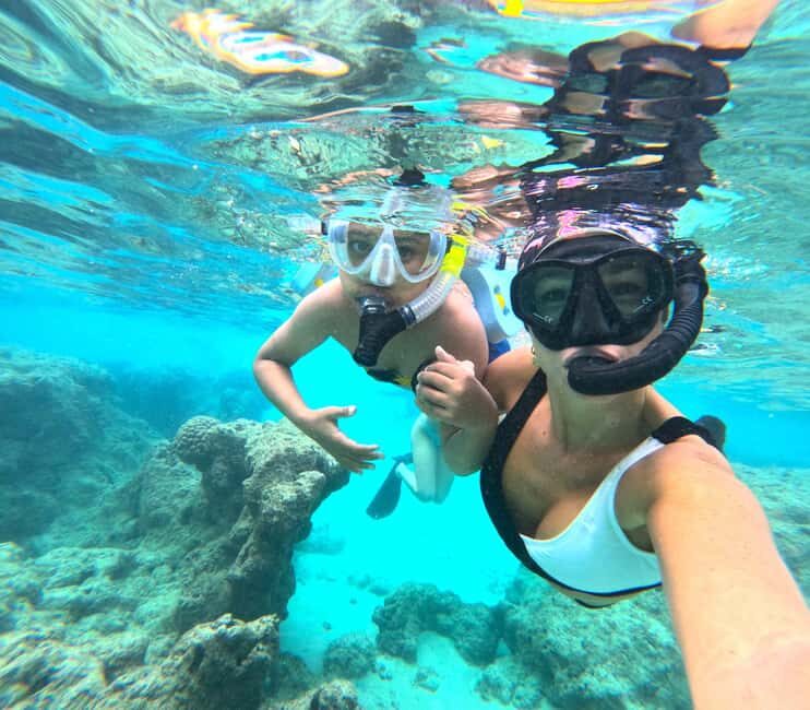 Hanauma Bay Guided Snorkel Tour with guaranteed entrance - The Sum Up: Who Is This Tour Best For?