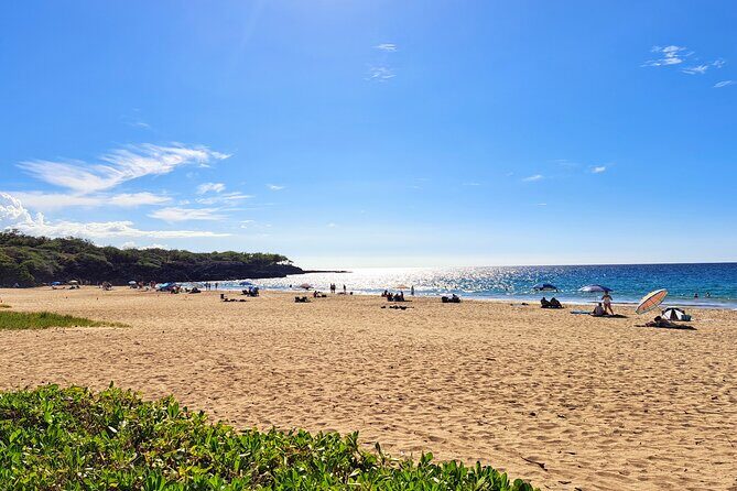 Hapuna Beach & Hawi - What Travelers Are Saying