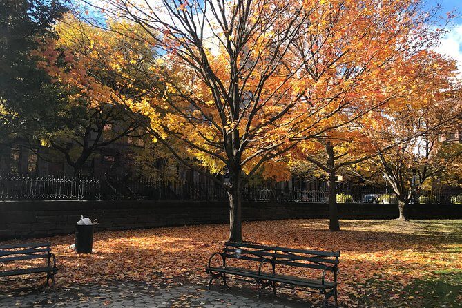 Harlem Walking Tour: Mount Morris Park Historic District w/ Lunch - Authenticity and Education: What Sets This Tour Apart
