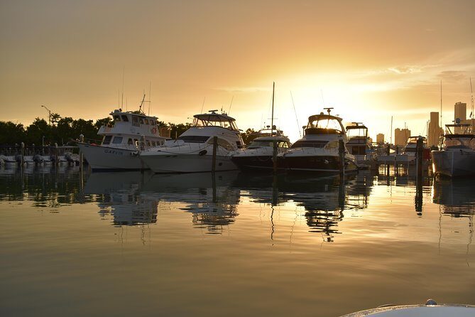 Have the best time in Miami aboard our SeaRay - Who Should Consider This Experience?