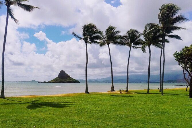 Hawaii Circle Island Tour - What Travelers Say (Based on Reviews)