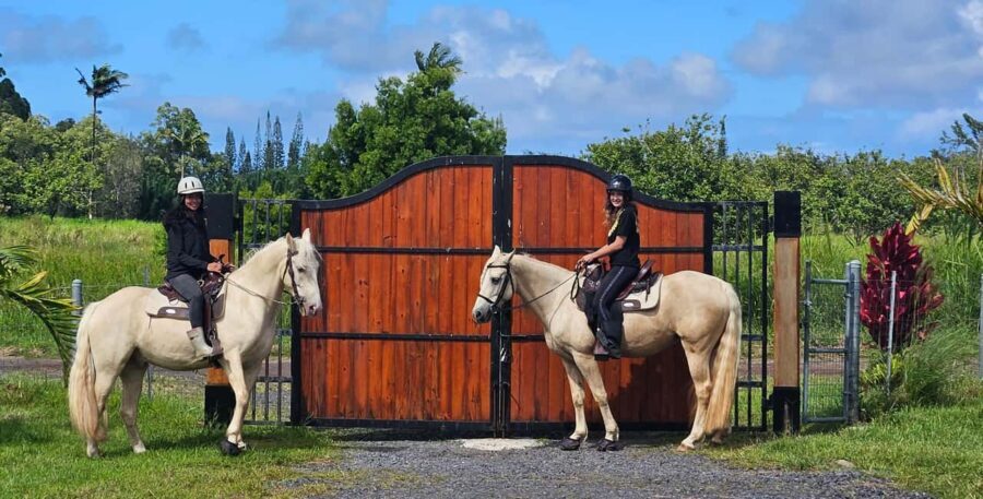 Hawaii: Small Group Rainforest Trail Ride - Why This Tour Offers Value
