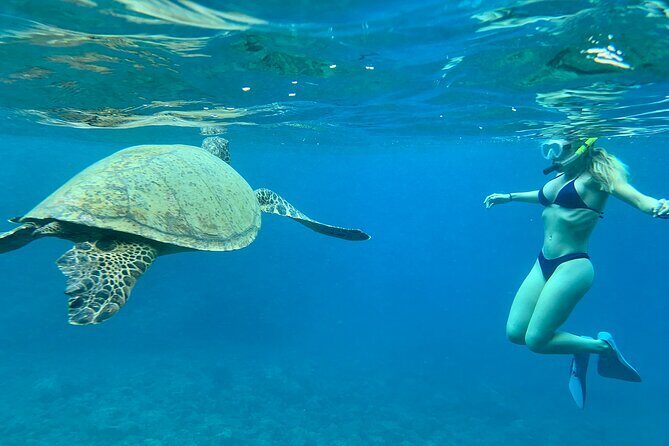 Hawaiian Culture & Snorkel Adventure with Photo/Videos - FAQs