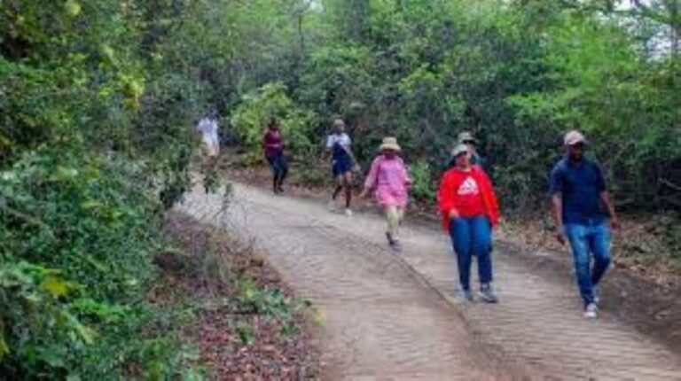 Hazyview : Sabie River Hiking Trail 12km - The Waterfalls: Highlights of the Trail