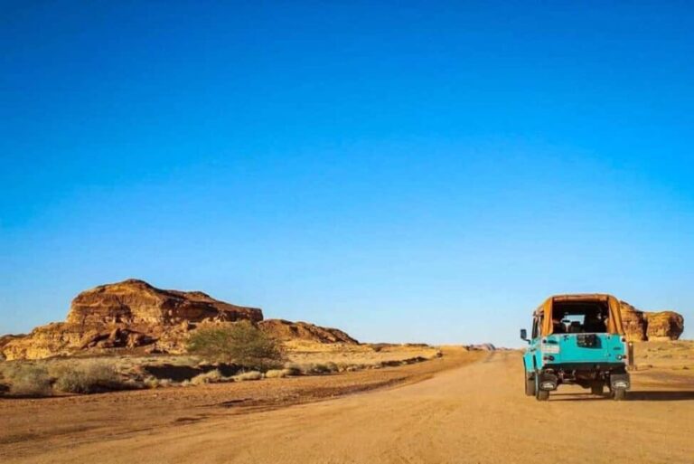 Hegra Tour: AlUlas No.1 Haven For Nature, Wildlife Lovers - Who Should Consider This Tour?