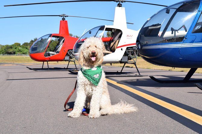 Helicopter Tour of Clearwater Beach and Belleair Country Club - Detailed Breakdown of the Itinerary