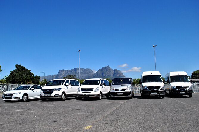 Hermanus Whales and Wine Full Day Private Tour - Authentic Perspectives from Past Travelers