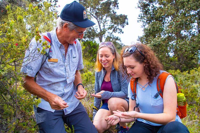 Hidden Craters Hike of Kona - The Itinerary: What to Expect
