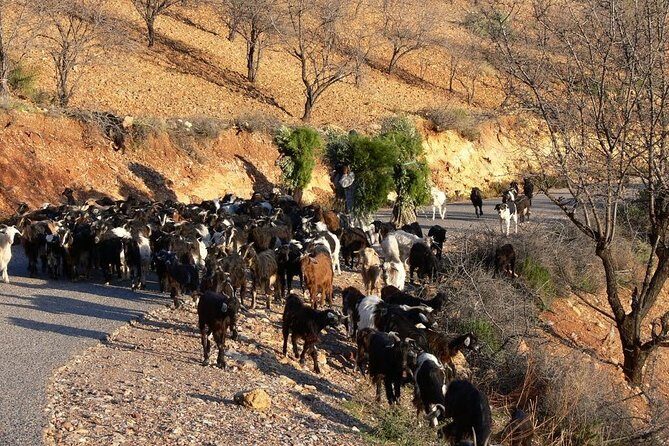 High Atlas Tour & Paradise Valley - The Itinerary in Detail