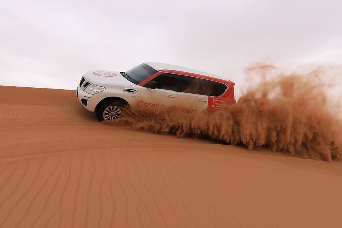 High Red Dunes with Camel Ride, Sandboarding, Falcon Show and VIP BBQ Dinner - Authenticity and Quality From the Reviews