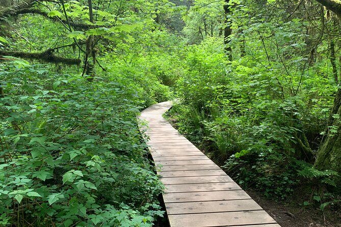 Hike and Bike the Vancouver Forests - Authentic Insights from Past Participants