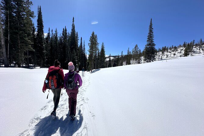 Hike Colorado Trails with Local Guide and Beer Tasting - The Heart of the Experience: Hiking in Colorado’s Scenic Foothills