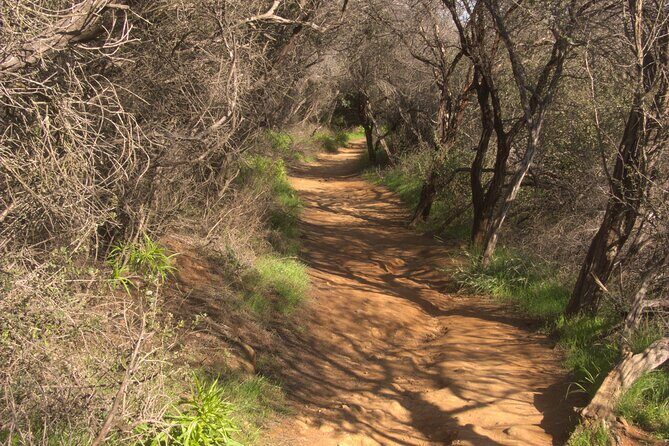Hike in the Santa Monica Mountains - The Sum Up