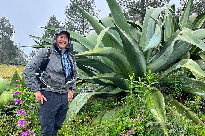 Hike in the Sierra Norte, Cuajimoloyas - What Travelers Love About This Tour