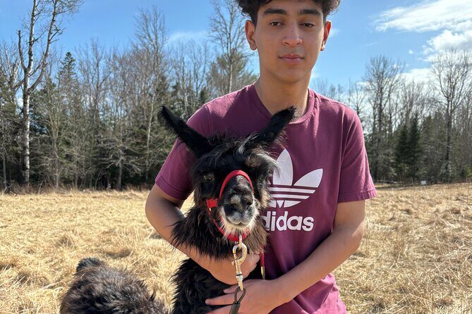 Hike & Lunch with Llamas - Exploring the Experience for Different Travelers