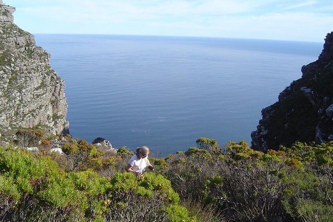 Hike off the beaten track on Table Mountain - The Sum Up
