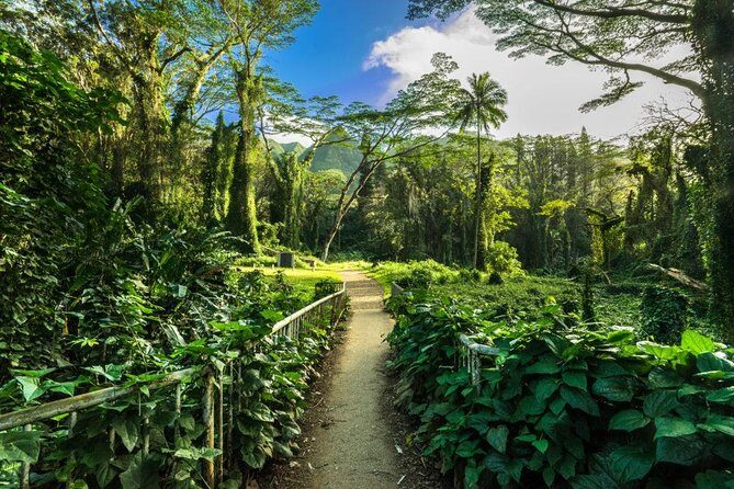 Hike Trail to Waterfall & Nature Walk - What’s Included and What’s Not