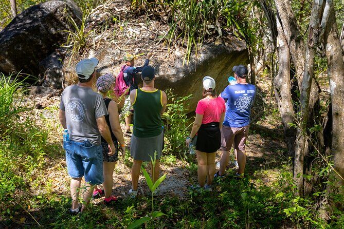 Hiking Adventure in Puerto Vallarta - Analyzing the Value