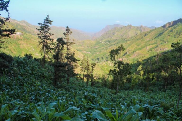 Hiking: From Serra Malagueta to Rabelados Community - Who Should Consider This Tour?