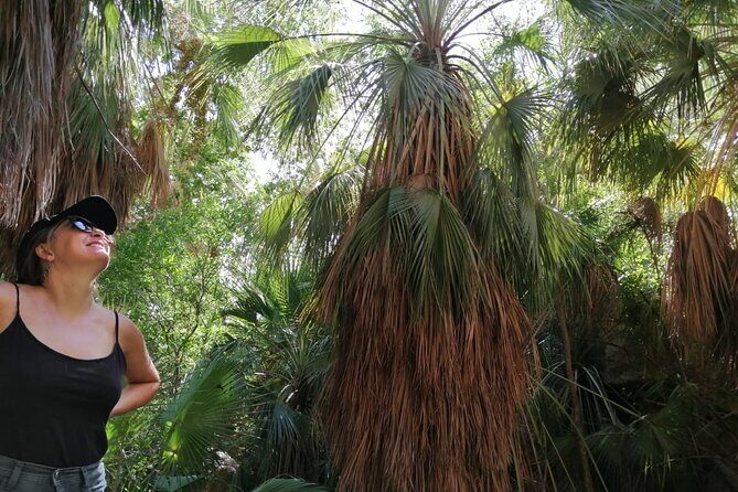Hiking to Desert Palm Oases of San Carlos with a Biologist - The Value of This Experience