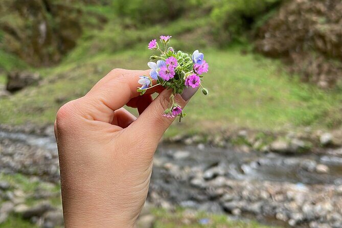 Hiking to Mystic Nisagala Canyon - Practical Tips for Travelers