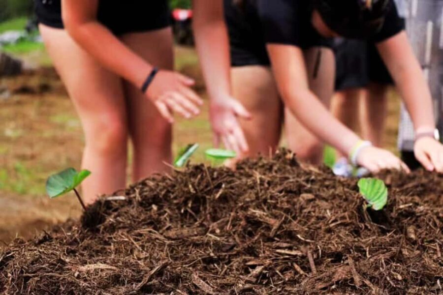 Hilo: Big Island Family Farm & Culture UTV Experience - The Itinerary: From Land to Culture