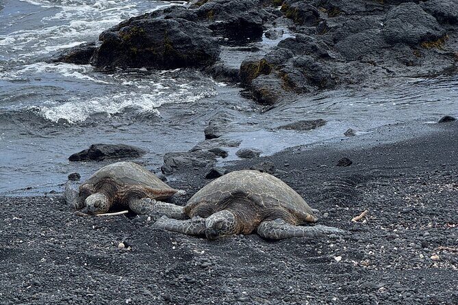 Hilo Excursion Volcanoes Akaka Falls And Black Sand Beach - Who Is This Tour Best For?