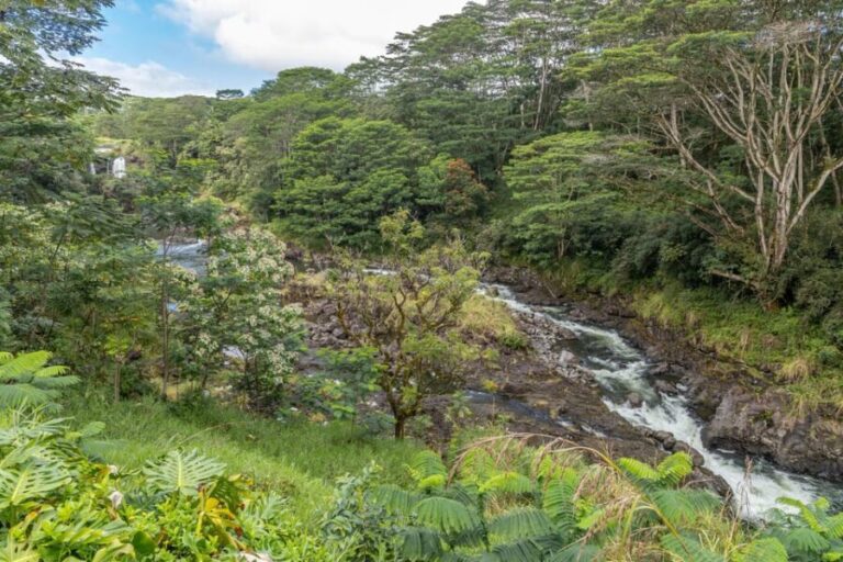 Hilo: Gardens, Waterfalls & Farmers Market Shore Excursion - The Itinerary: Waterfalls, Gardens, and Scenic Drives