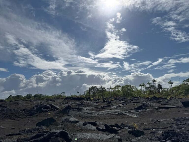 Hilo: Kilauea Fissure 8 Hiking, Volcanoes and Waterfalls - Who Is This Tour Best Suited For?
