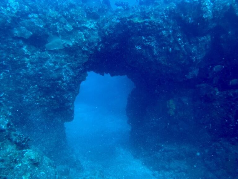 Hilo: Night Dive for Certified Divers - Frequently Asked Questions