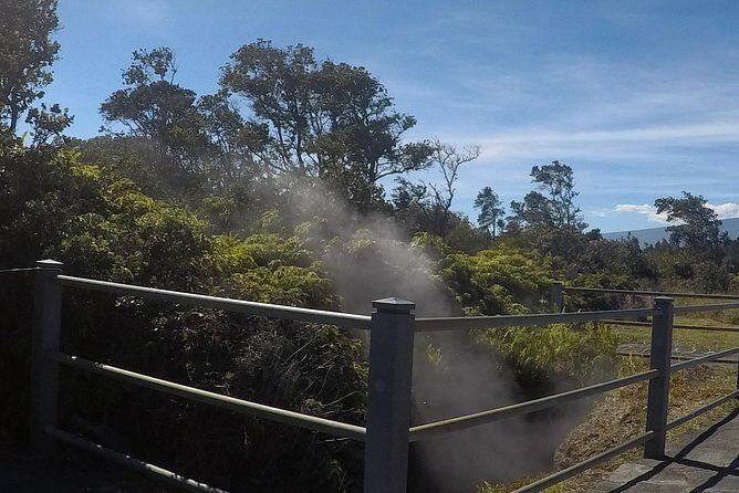 Hilo Shore Excursion: Volcanoes National Park and Rainbow Falls - Who Would Love This Tour?