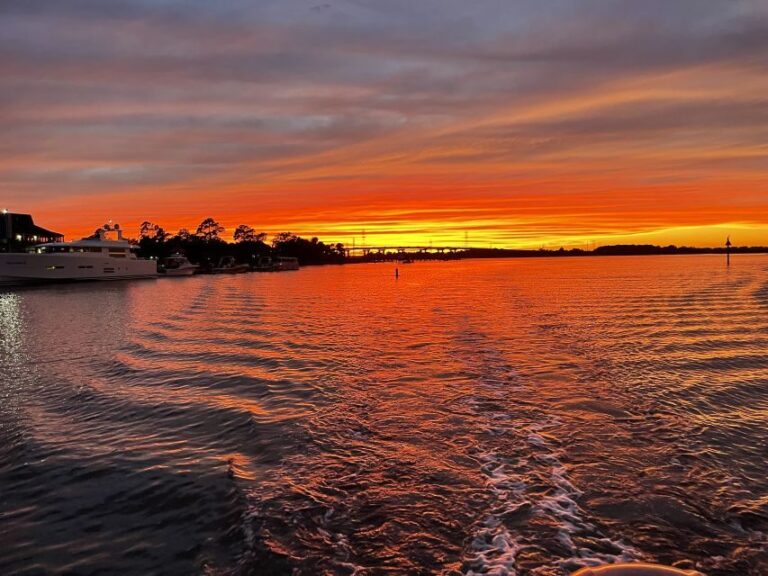 Hilton Head: 2 Hour Large Group Tour (7-20 people) - Why This Tour Stands Out