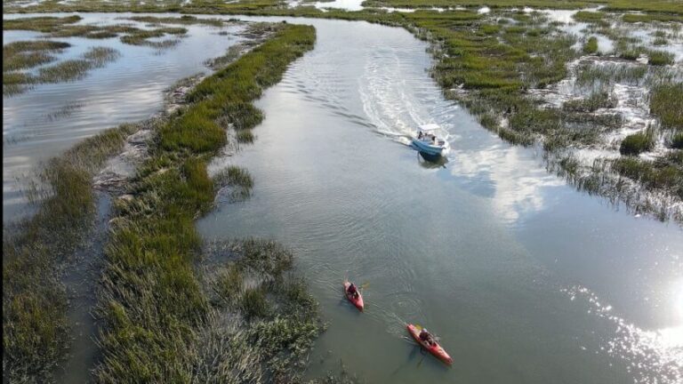 Hilton Head: 2 Hour Private Dolphin Tour - The Itinerary: What to Expect on This Two-Hour Tour