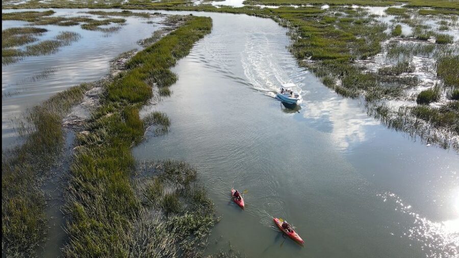 Hilton Head: 2 Hour Private Dolphin Tour