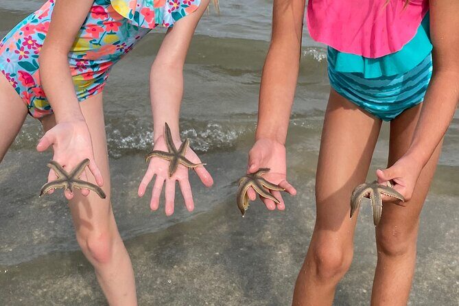 Hilton Head Dolphin Tour with Stop at Disappearing Island - Final Thoughts: Is It Worth It?