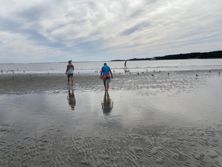 Hilton Head: Guided Disappearing Island Tour by Mini Boat - Who Will Love This Tour?