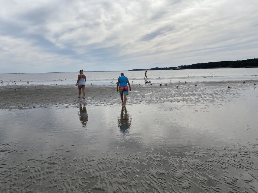 Hilton Head: Guided Disappearing Island Tour by Mini Boat - Who Will Love This Tour?