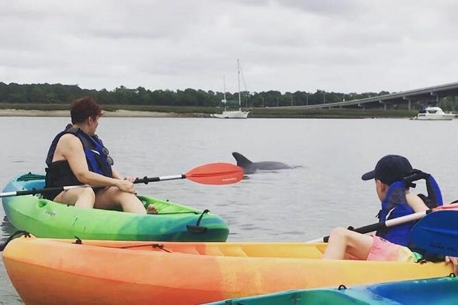 Hilton Head Guided Kayak Eco Tour - Wildlife and Scenic Highlights