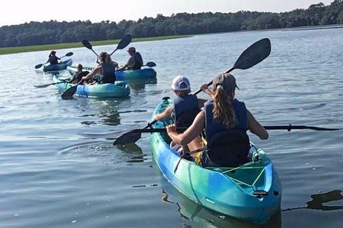 Hilton Head Guided Kayak Tour - Interpreting the Value