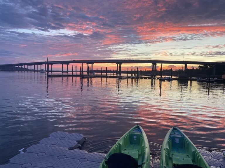 Hilton Head Island: 1.5-Hour Guided Small-Group Kayak Tour - The Experience: What to Expect During the Tour