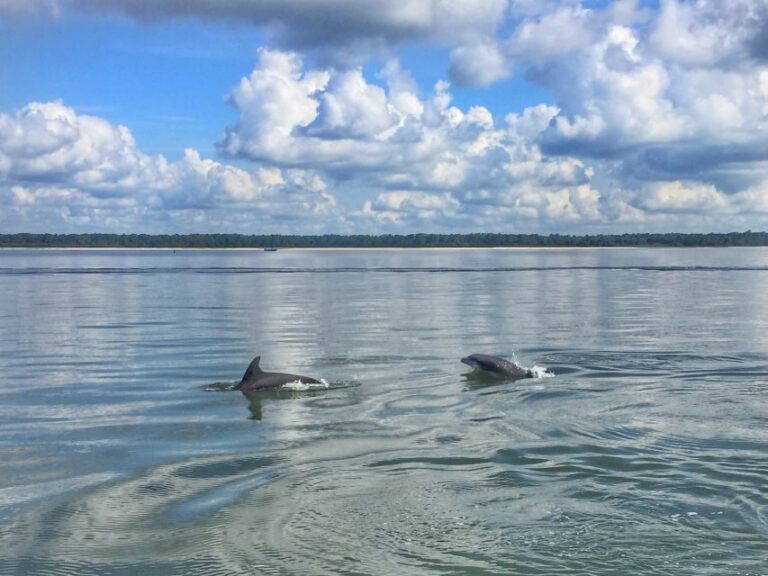 Hilton Head Island: 2-Hour Guided Creek Cat Tour - Final Thoughts: Is It Worth It?