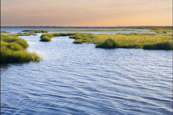 Hilton Head Island Dolphin Watching Nature Cruise - FAQ