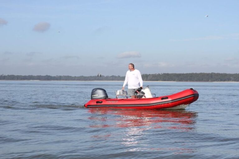 Hilton Head Island: Mini Boat Dolphin Tour - Who Should Consider This Tour?