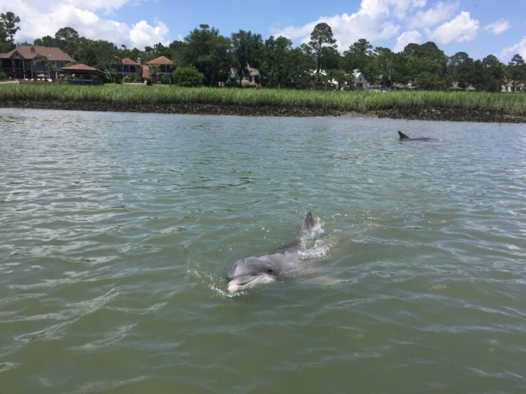 Hilton Head Island: Pontoon Boat Rental - How the Itinerary Unfolds